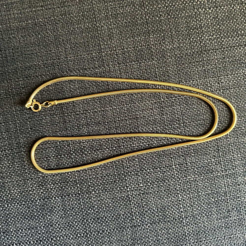 NWOT Snake Chain Necklace